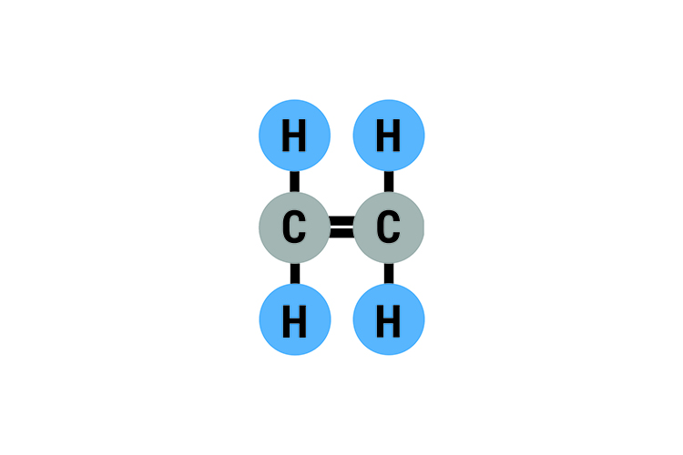 image showing the molecular structure of ethene